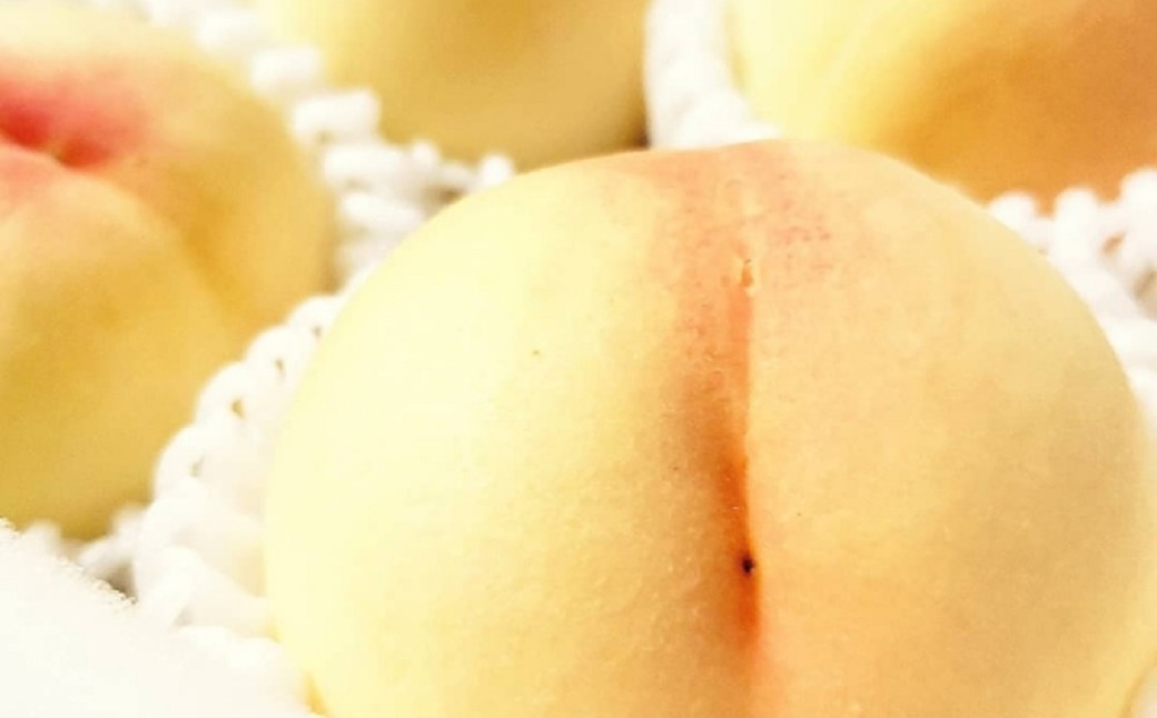 【秀品】清水白桃 3.8キロ