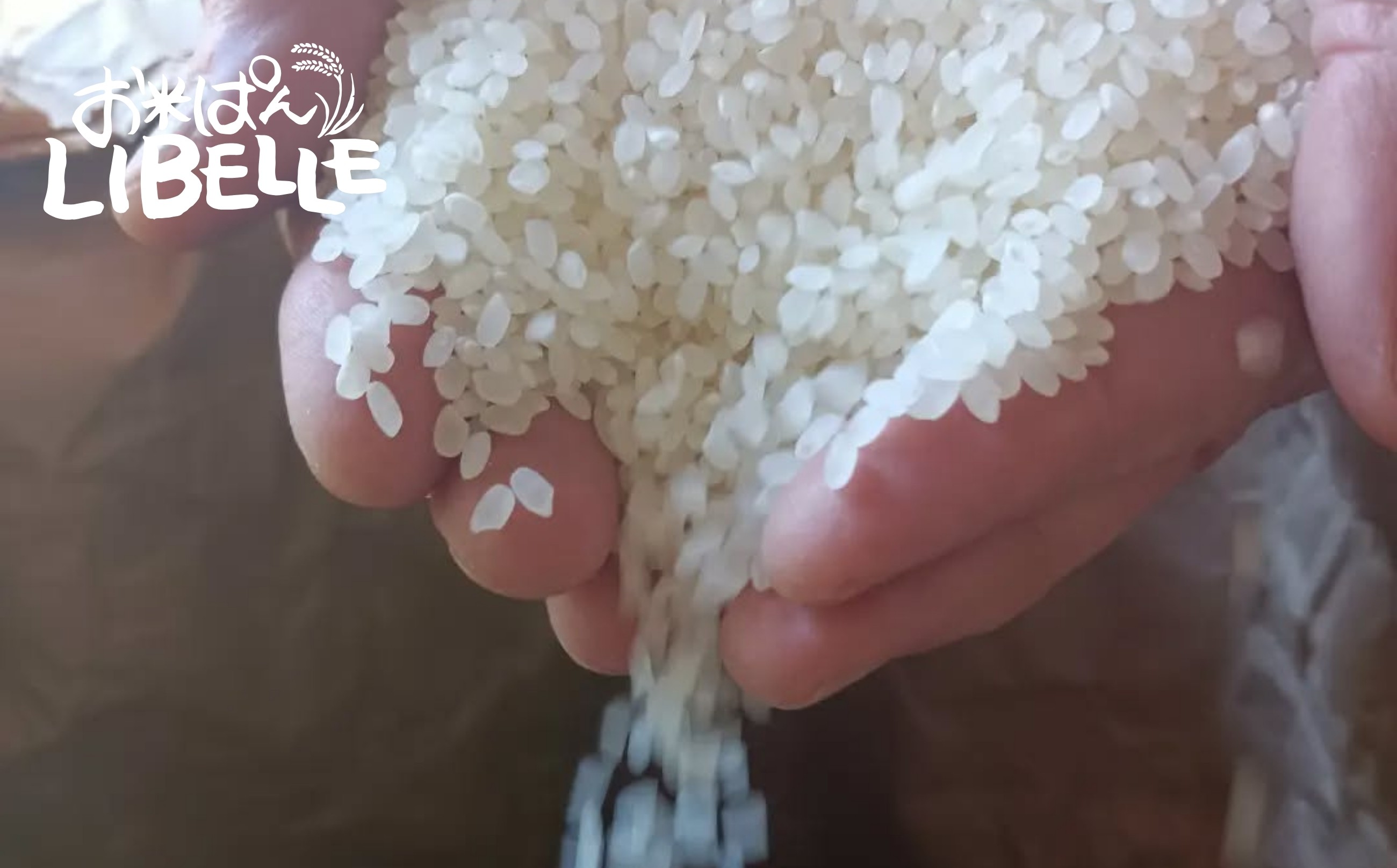 生の米粒からつくった「パン」で、「米粉パン」とは異なります。