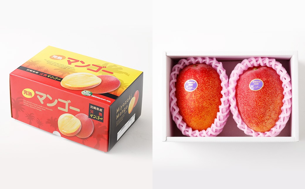 ＜宮崎県 完熟マンゴー2L×2玉 700g＞