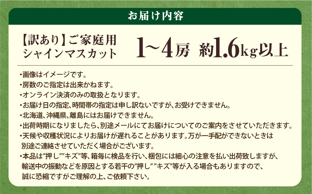 ご家庭用 シャインマスカット 1～3房（約1.6kg以上）