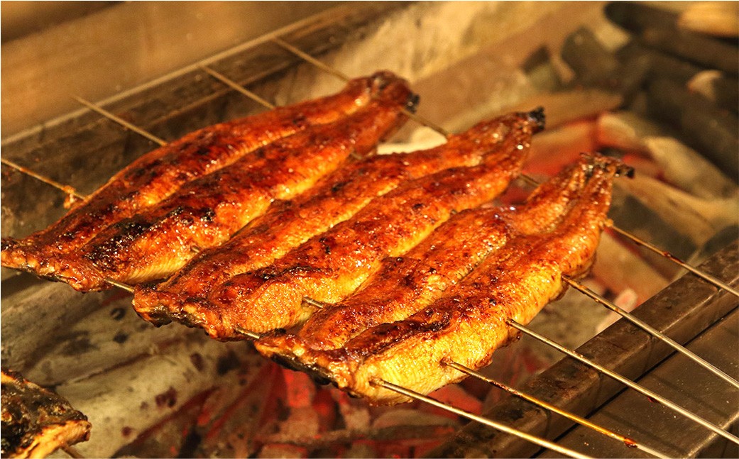 木曽三川ウナギのうなぎまぶし5パック