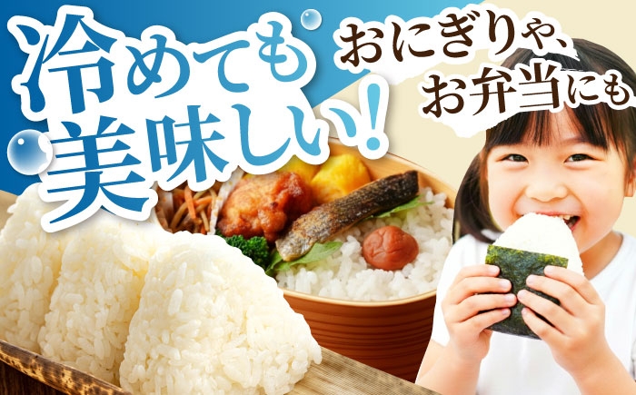 米 白米 精米  お米 米 kome 白米 ご飯 こめ ごはん ライス 10kg