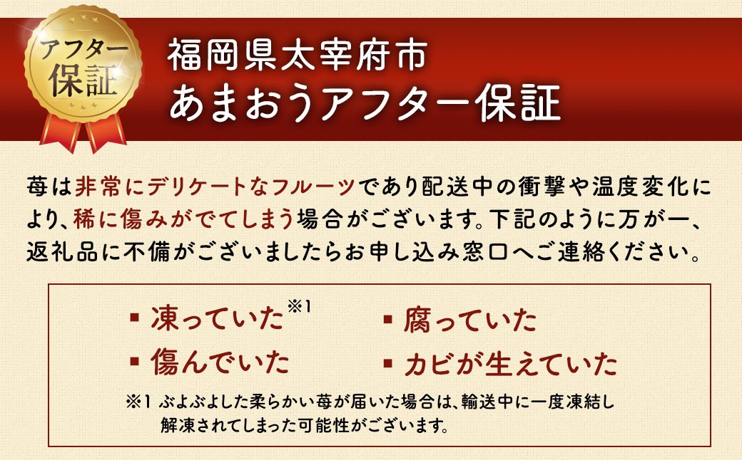 【2回定期便】うるう農園のあまおう サイズ色々6パック