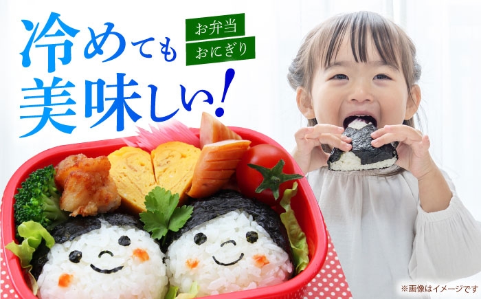 ヒノヒカリ 白米 10kg 【有限会社江北商会】 [HDK001] 新米 精米 米 おこめ お米 こめ コメ 白米 10キロ