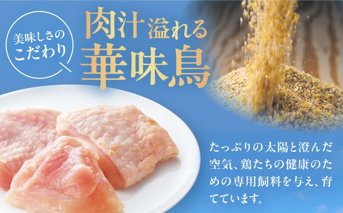 カレー パウチ インスタント食品 カレーライス 調理済みカレー レトルトカレー インスタントカレー セット インスタント