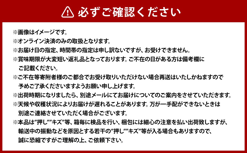岡山シャインマスカット 2～4房 1.5キロ以上