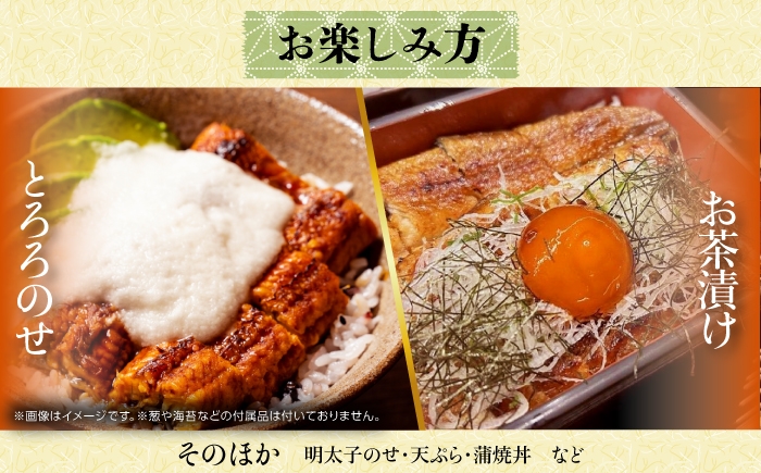 高知焼き鰻蒲焼3尾 【鰻HASHIMOTO】 [ATDX006]