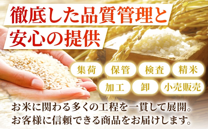 米 白米 精米  お米 米 kome 白米 ご飯 こめ ごはん ライス 10kg