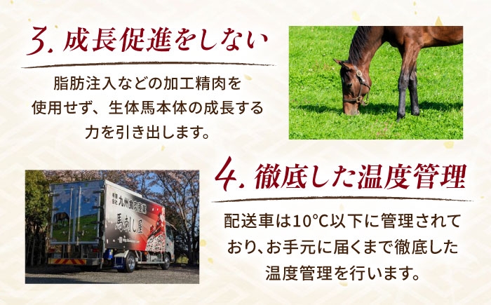 馬刺し ばさし 馬刺 馬 馬肉 肉 バサシ 赤身 赤身馬刺し シャトーブリアン チルド ブロック 九州 熊本