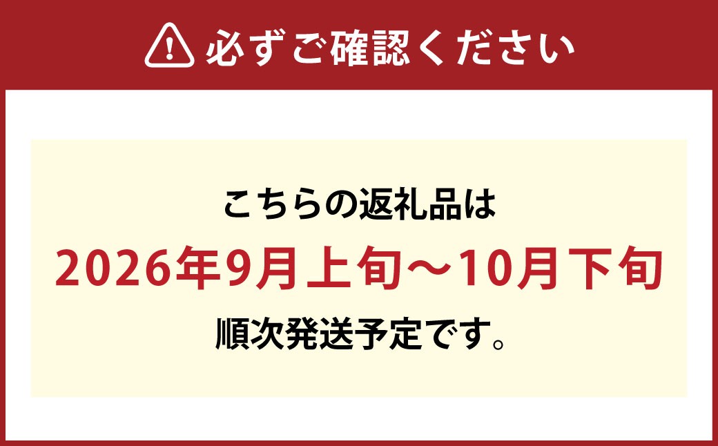 ご家庭用 シャインマスカット 1～3房（約1.6kg以上）