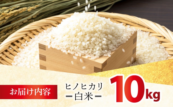 ヒノヒカリ 白米 10kg 【有限会社江北商会】 [HDK001] 新米 精米 米 おこめ お米 こめ コメ 白米 10キロ