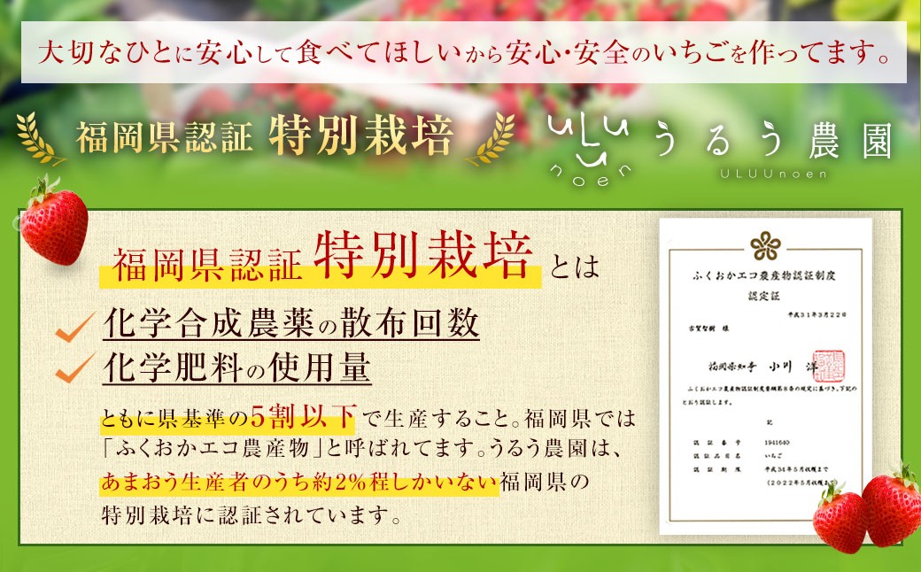 【3回定期便】 うるう農園のあまおう サイズ色々4パック