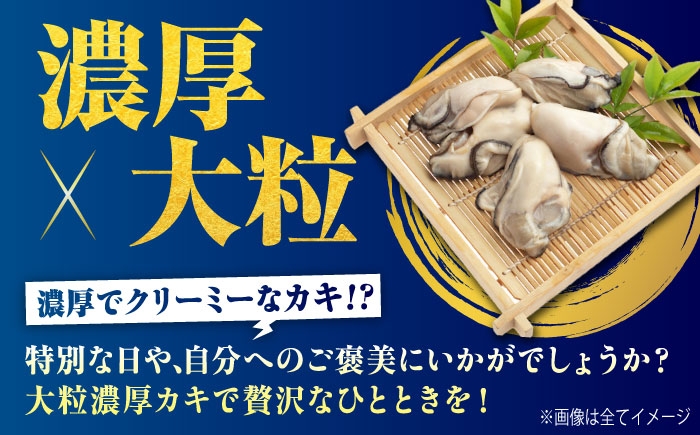 牡蠣 むき身 殻付き かき カキ 生牡蠣 広島牡蠣 オイスター 生カキ 広島県産