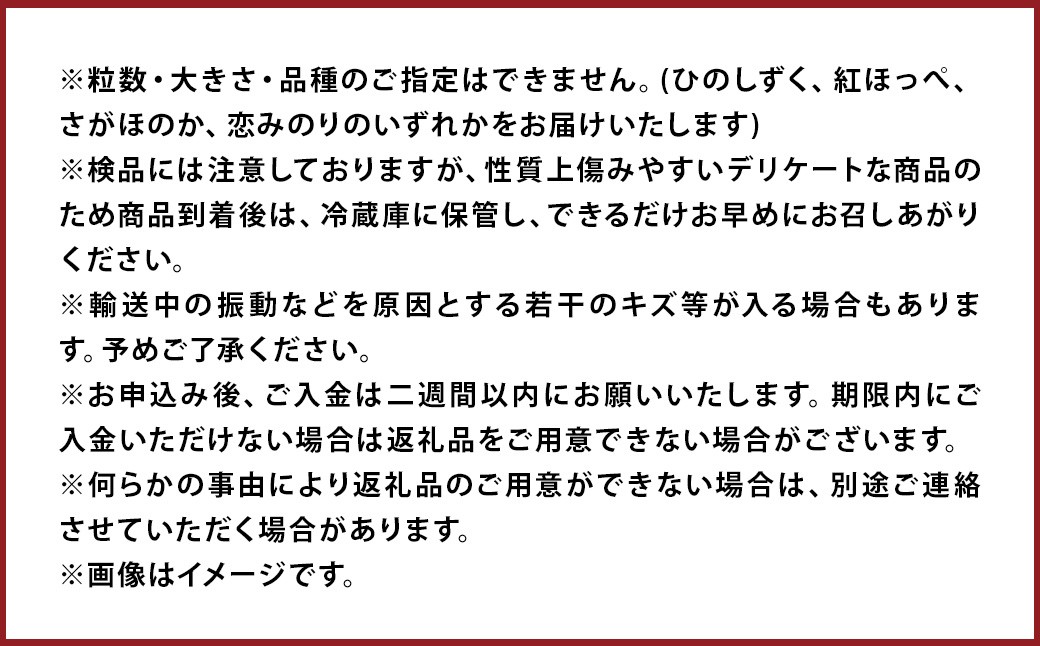益城産 いちご 500g×1パック 贈答箱入り