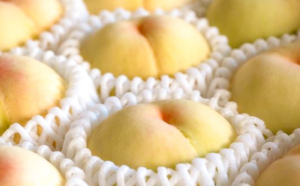 清水白桃 3.6キロ