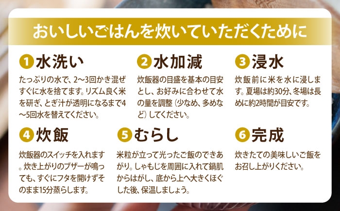 米 白米 精米  お米 米 kome 白米 ご飯 こめ ごはん ライス 10kg