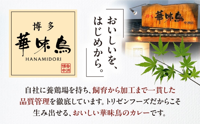 カレー パウチ インスタント食品 カレーライス 調理済みカレー レトルトカレー インスタントカレー セット インスタント