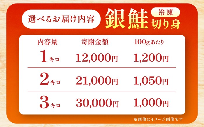 シャケ しゃけ 鮭 銀鮭 サーモン