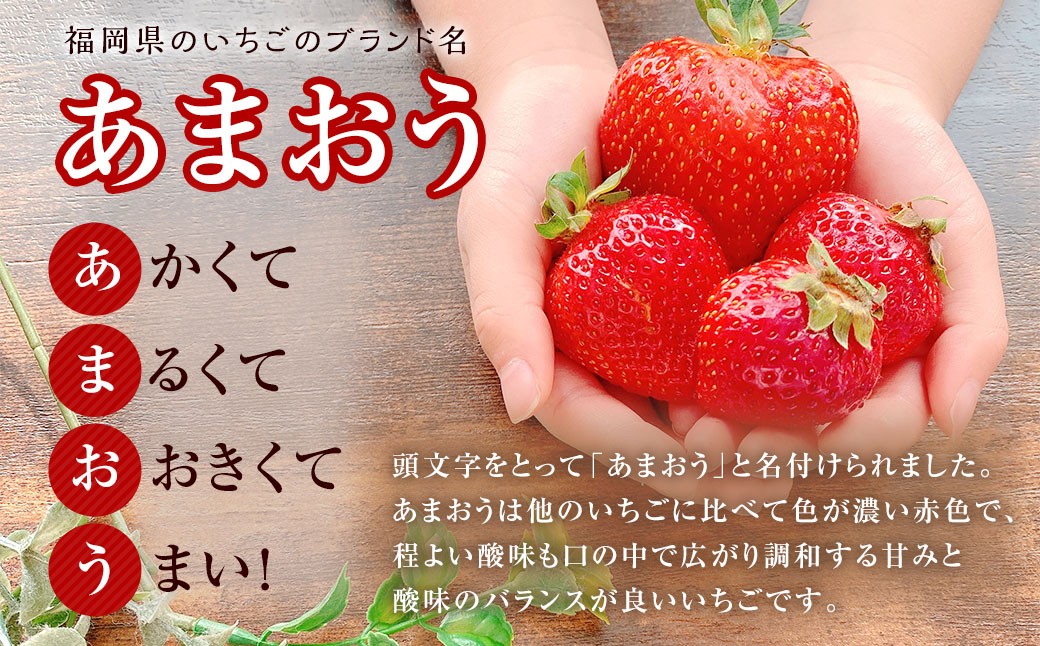 【3回定期便】 うるう農園のあまおう サイズ色々2パック