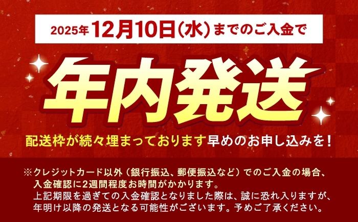 佐賀牛サーロインステーキ 150ｇA5ランク 佐賀牛 牛肉 サーロイン ステーキ A5 佐賀牛 [HCS011]