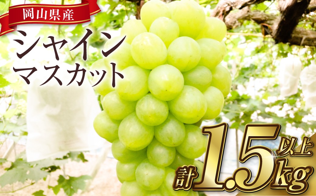 岡山シャインマスカット 2～4房 1.5キロ以上