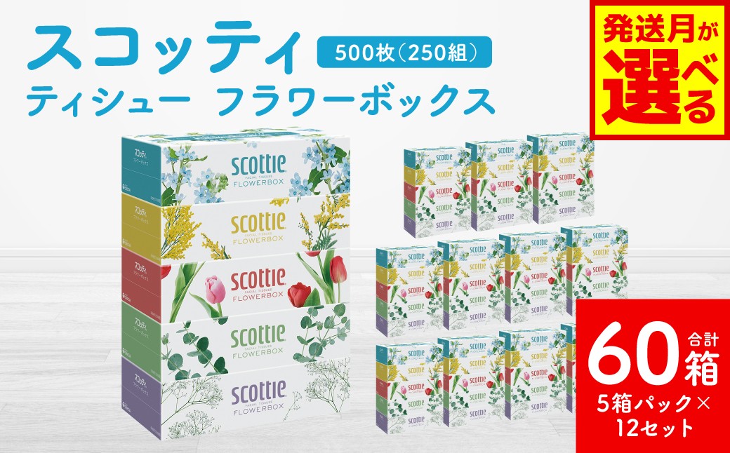 【スコッティ】 ティシュー フラワーボックス 250組 5箱パック×12 合計60箱