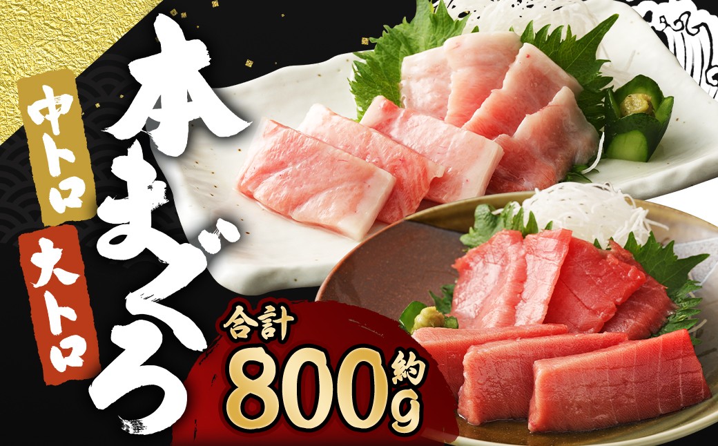 【ふるさと納税】訳あり 長崎県産 本マグロ 大トロ・中トロセット 皮付き 部位おまかせ 計約800g