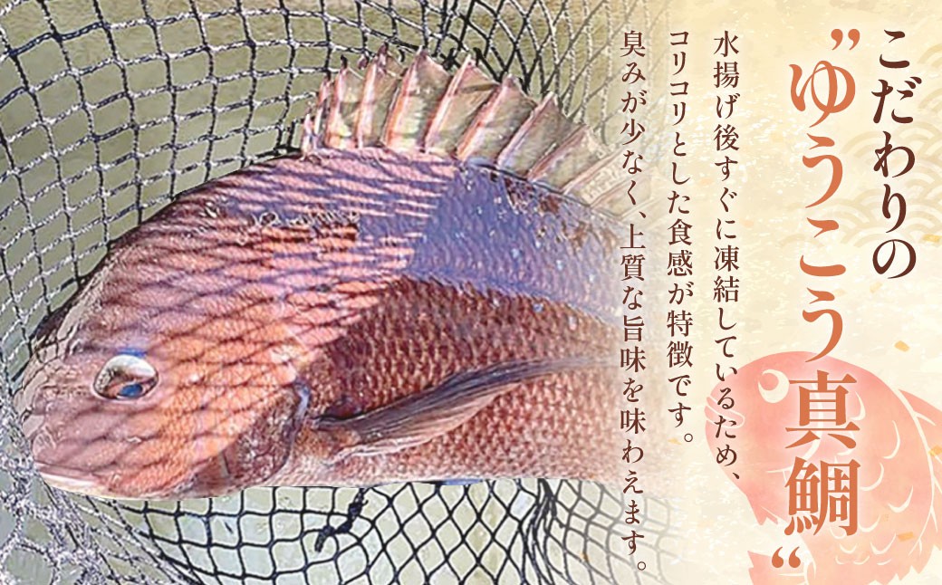 ゆうこう真鯛の胡麻ダレ海鮮丼の素 4食分 計280g(70g×4袋)