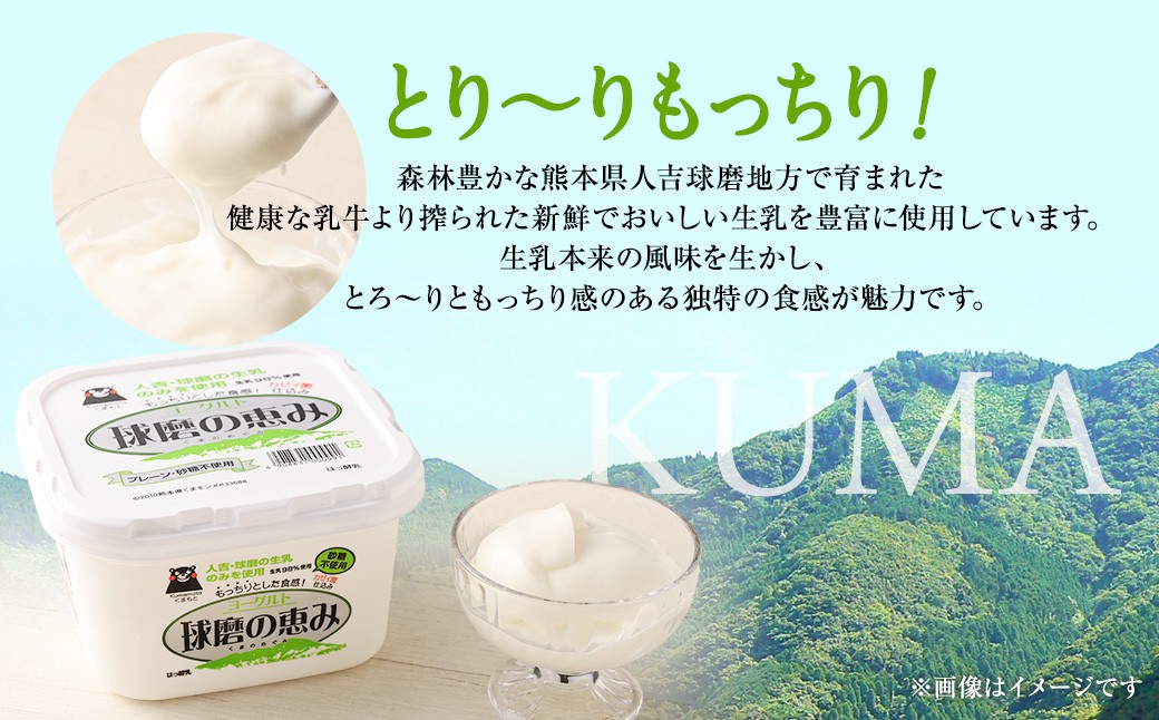 ヨーグル党総選挙　ム党の部　第2位受賞！球磨の恵みヨーグルトセット（砂糖不使用1kg×4個）