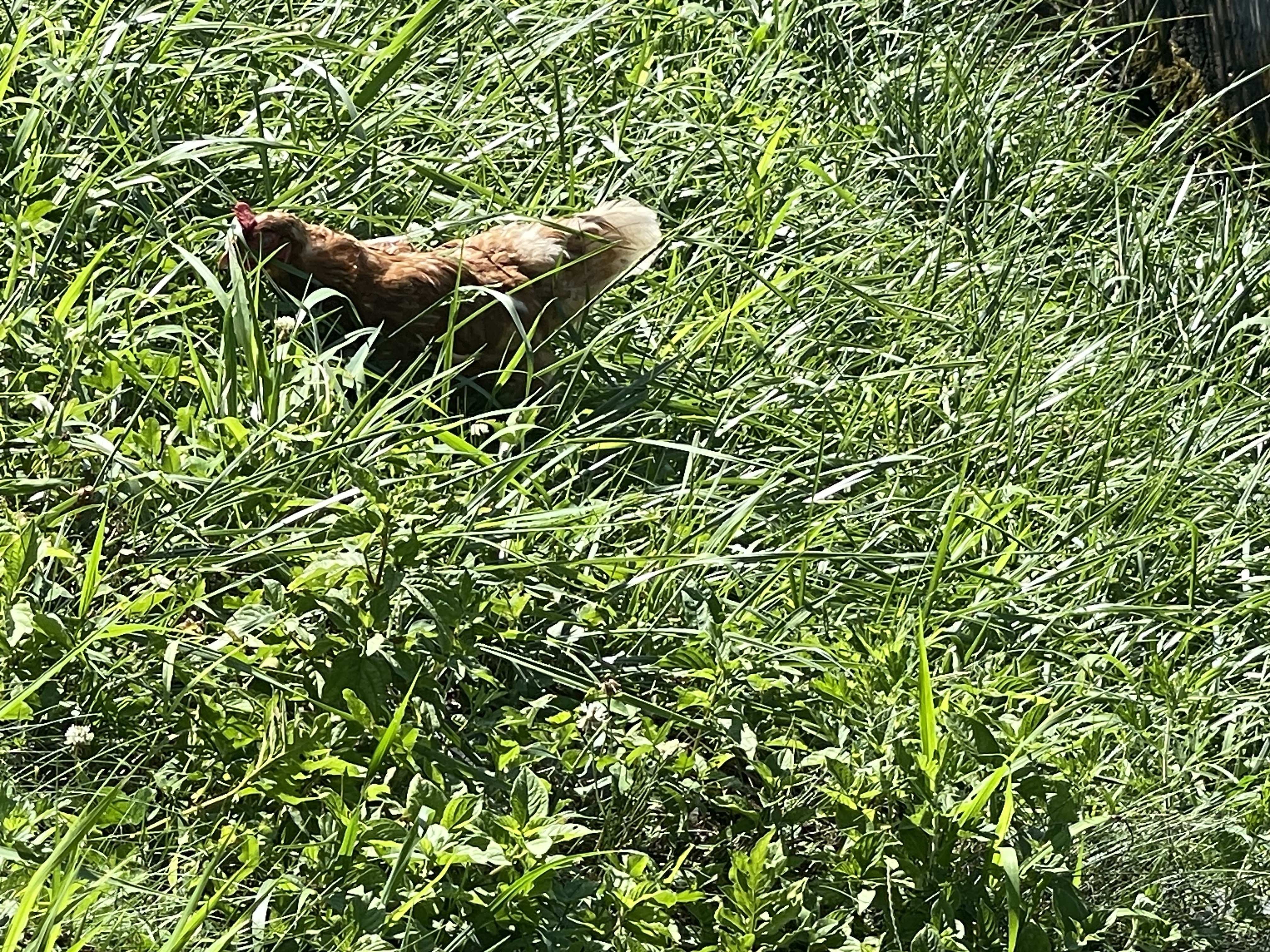 大地の恵みを実感