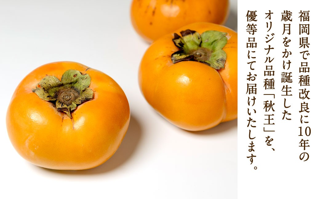 福岡県産 博多秋王【優等品】 計約10.5kg以上【約3.5kg以上（8玉～12玉入り） ×3箱】