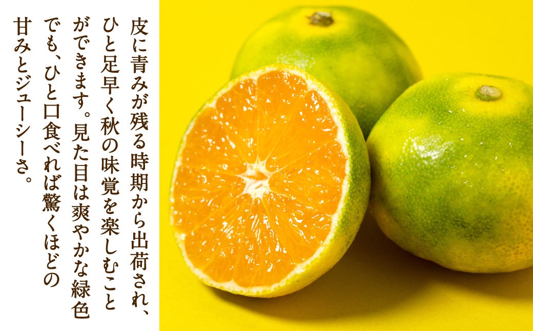 福岡県産 早味かん 約4kg以上 （40玉～50玉入り）  M・Sサイズ