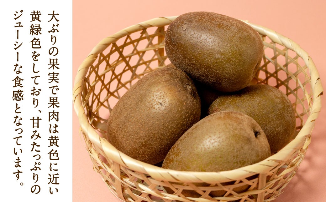 福岡県産 博多甘うぃ 約1.4kg（大玉9玉入り）