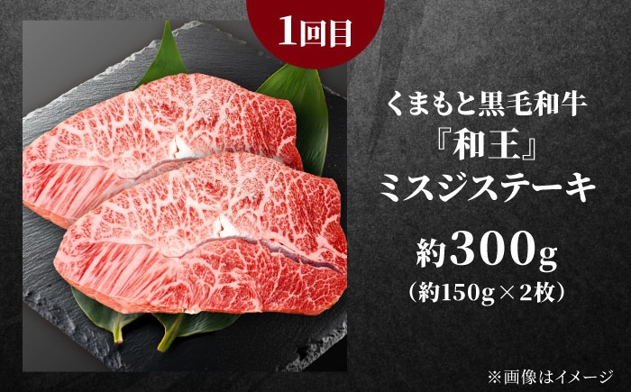 全3回 合志市くまもとステーキ食べ比べ定期便 