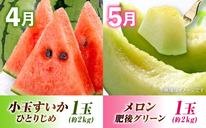  全5回 果物ざんまい定期便