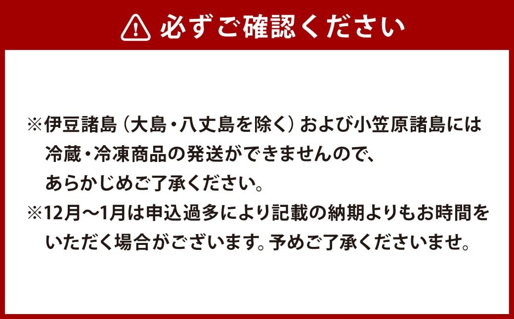 【全3回定期便】具材付き！長崎ちゃんぽん 4人前 チャンポン 麺類 麺 簡単調理 長崎名物