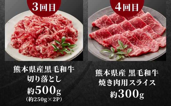 全6回 合志市お肉づくしお楽しみ定期便