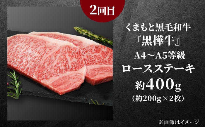 全3回 合志市くまもとステーキ食べ比べ定期便 