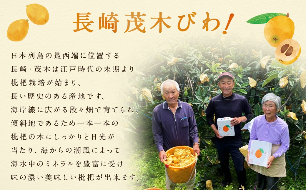 茂木 びわ『なつたより』2Lサイズ 15玉入り