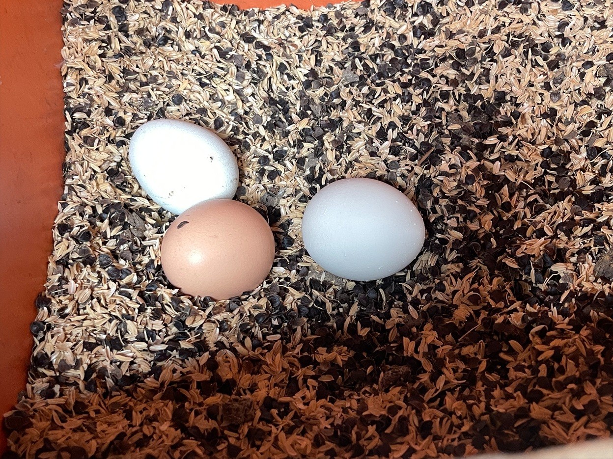 大地の恵みを実感