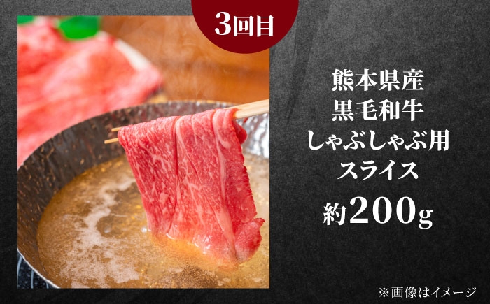 全3回 合志市お肉おためし定期便