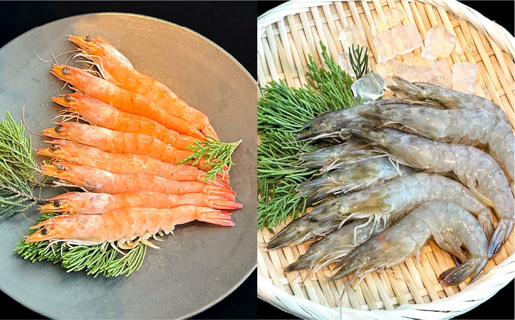 うるみえび （冷凍） SS～4Lサイズ ランダム 約400g
