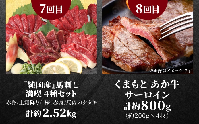 全12回 合志市お肉エンジョイ定期便