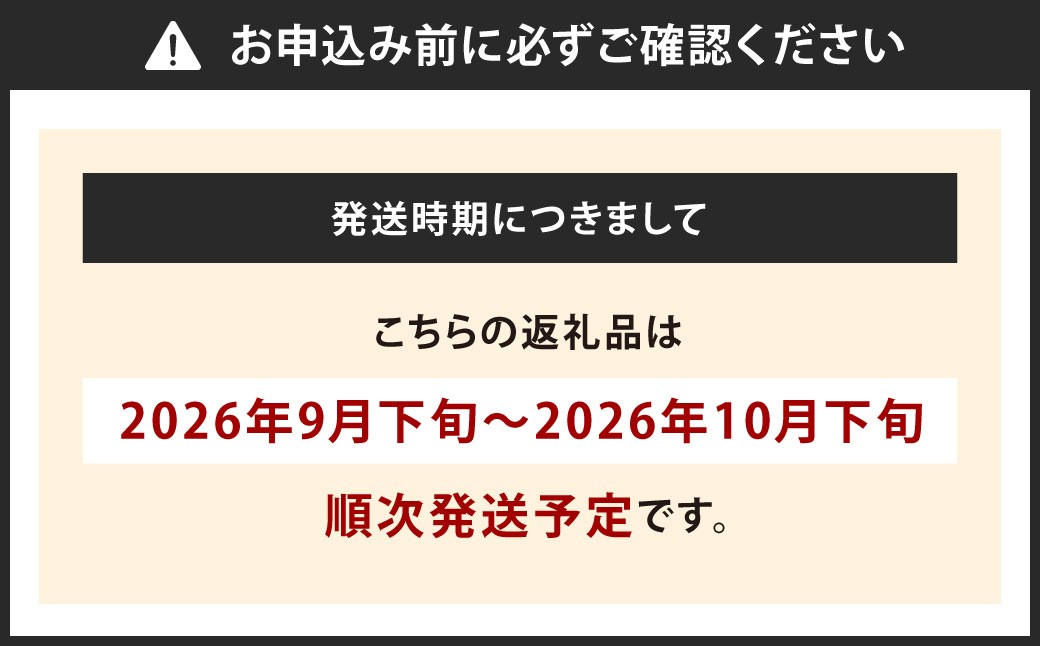 福岡県産 とよみつ姫 約1.2kg （約300g×4パック入り）