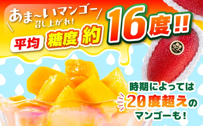 全4回 合志市肉と果物定期便スタンダードコース