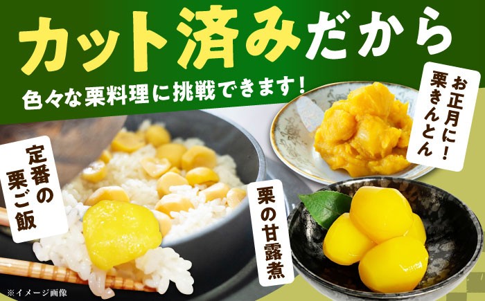 栗 冷凍 生栗 くり むき栗 マロン 低温熟成 日本栗 国産 和栗 岐阜県産 恵那市産 産地直送 お取り寄せ ギフト 贈答