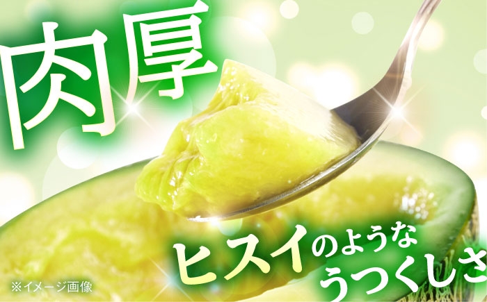  全5回 果物ざんまい定期便