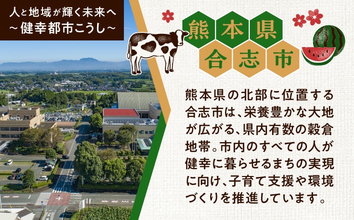全6回 合志市お肉づくしお楽しみ定期便