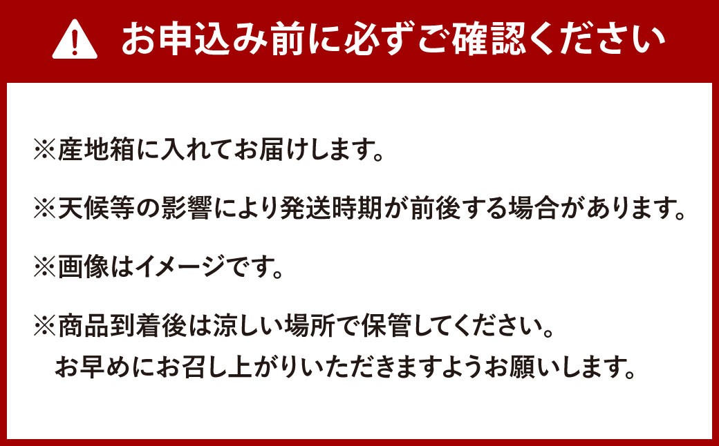 福岡県産 早味かん 約4kg以上 （40玉～50玉入り）  M・Sサイズ