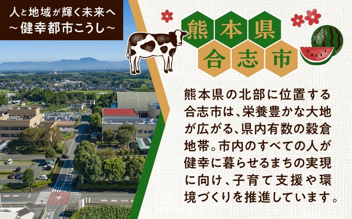 全3回 合志市お肉おためし定期便